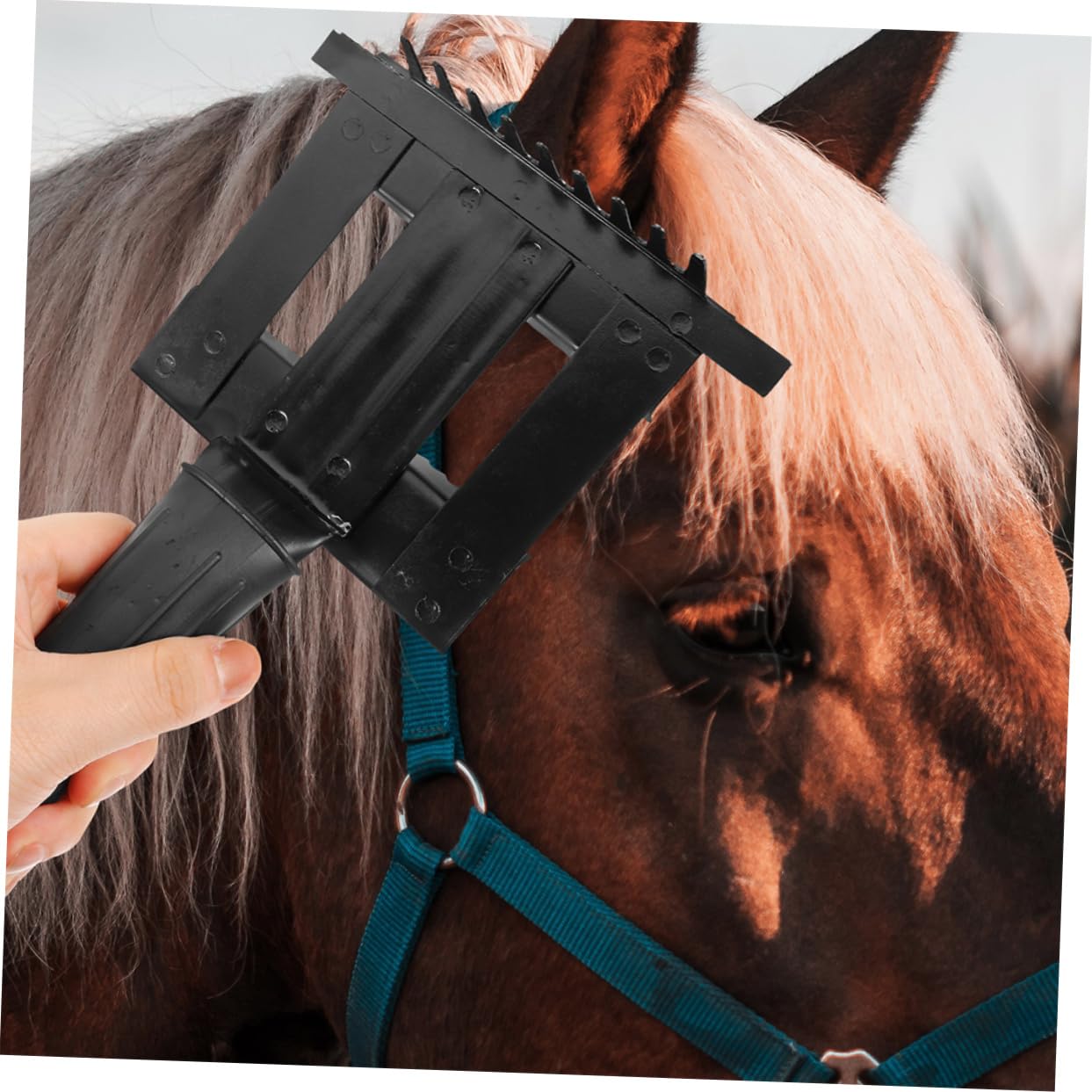 CORHAD Ergonomic Horse Grooming Rake 2pcs Horse Hair Cleaning Comb Comfortable Operation Horse Grooming Accessory