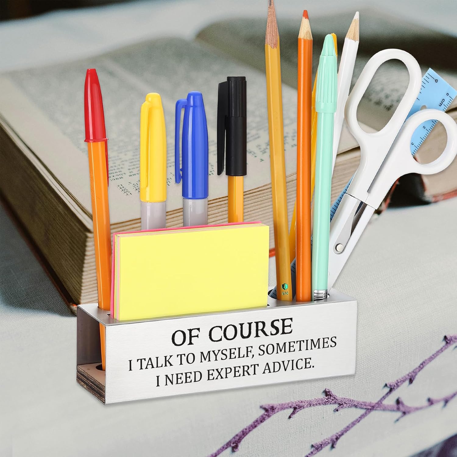 Of Course I Talk to Myself Sometimes I Need Expert Advice,Sarcastic Office Humor Gift for Coworkers Professionals Entrepreneurs, Office Pencil Holder for Desk SD287 image 3