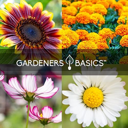 Miniatura 5 de Gardeners Basics - Semillas de jardín de flores para plantar al aire libre (paquete de 5 variedades) de margaritas, caléndula, cosmos, girasol,