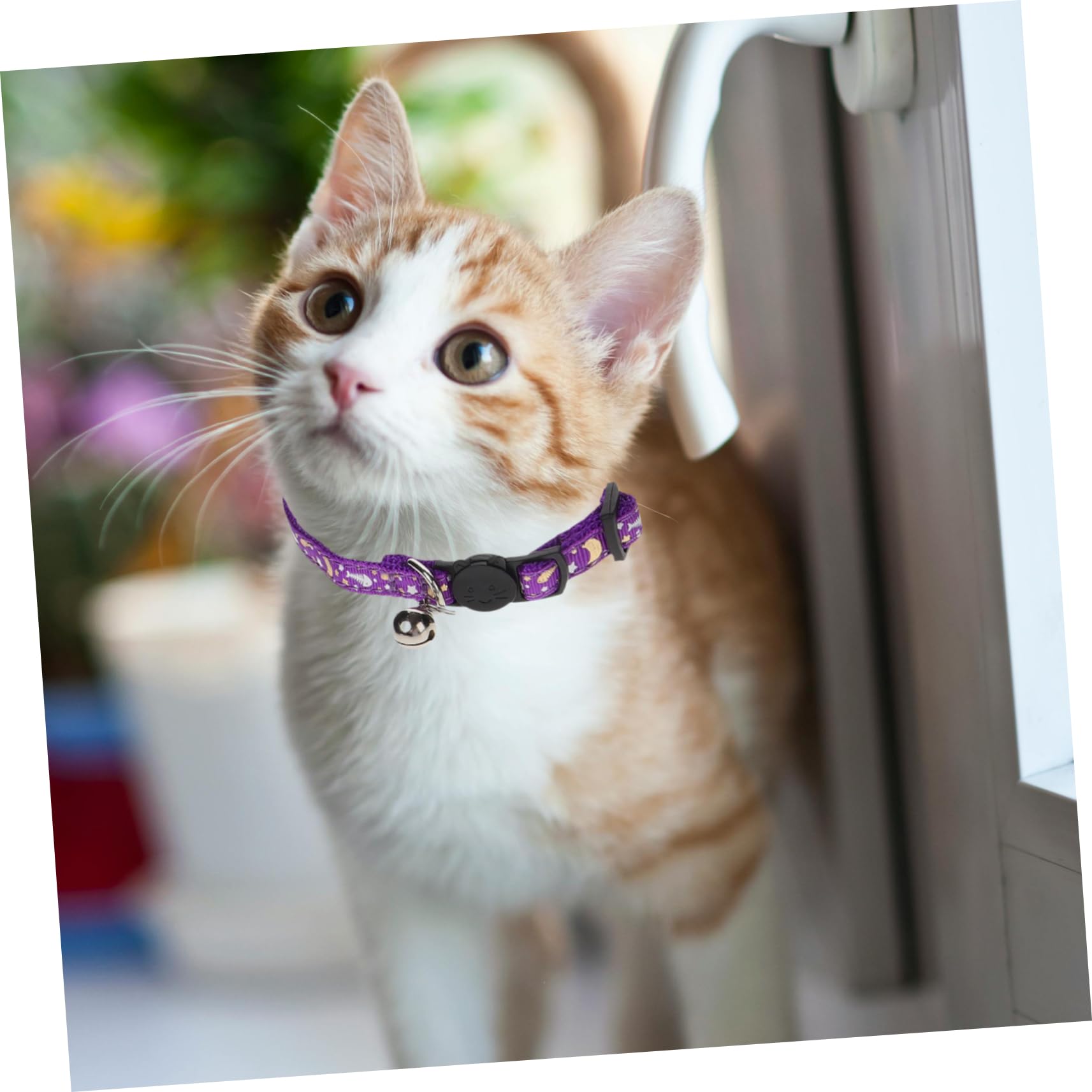 POPETPOP 12 STK Leuchtendes Katzenhalsband Dekorativer Katzen-halskreis Dekoratives Katzenhalsband Haustierhalsband Verstellbar Welpenhalsband Für Haustiere Kleiner Hund Stoff Haustierkette