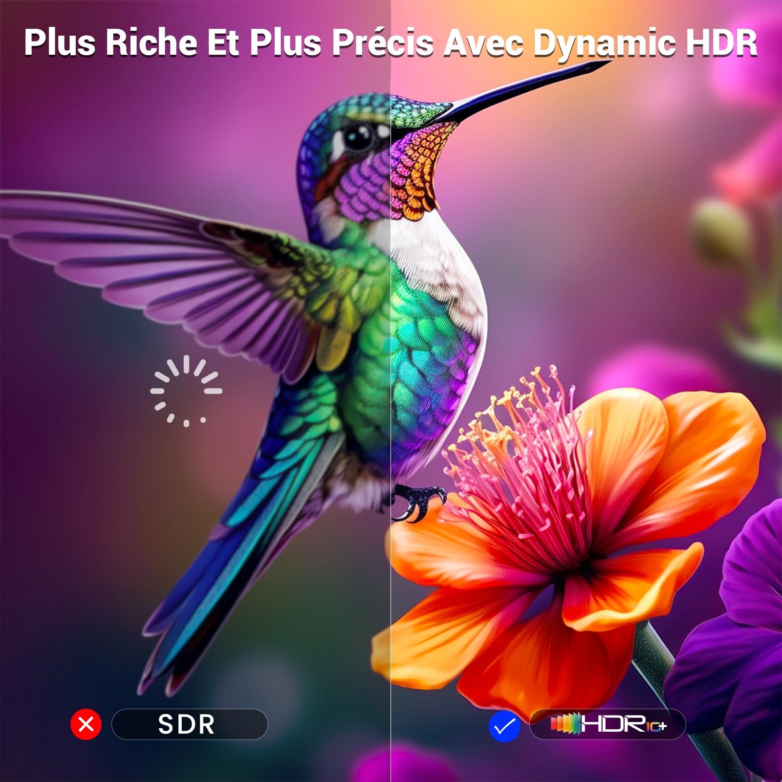 Etseinri Câble HDMI 2.1 2M, Certifié 48Gbps Ultra Haute Vitesse 4K 240Hz 8K 60Hz HDCP 2.3 eARC HDR10+ Dolby Vision pour PC Moniteurs Gaming HDTV