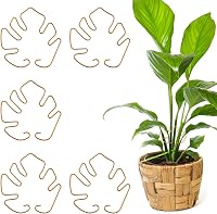 Gosknor 5 darabos Monstera növénytámasz szett, növénytartó karok beltéri növényekhez 1