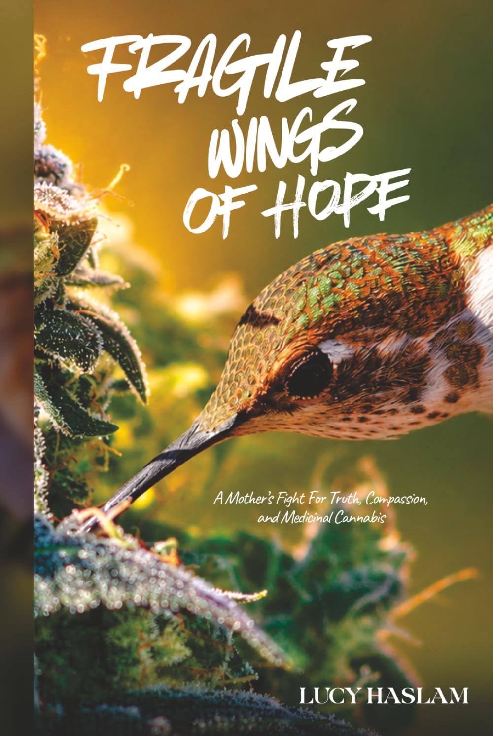 Fragile Wings of Hope: A Mother's Fight for Truth, Compassion and Medicinal Cannabis
