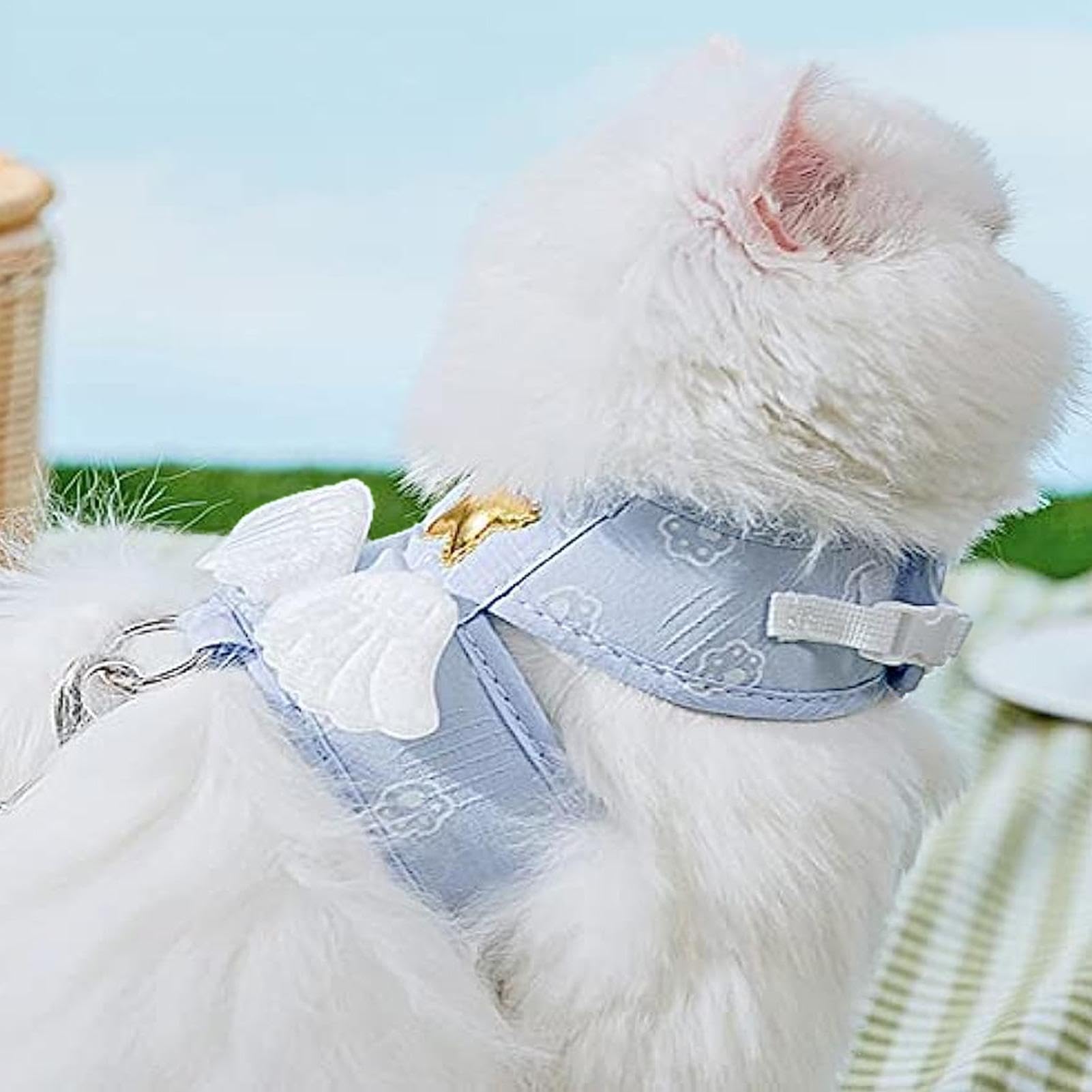 Guinzaglio per gatti – Set di pettorine e lino, gilet regolabile per gatti