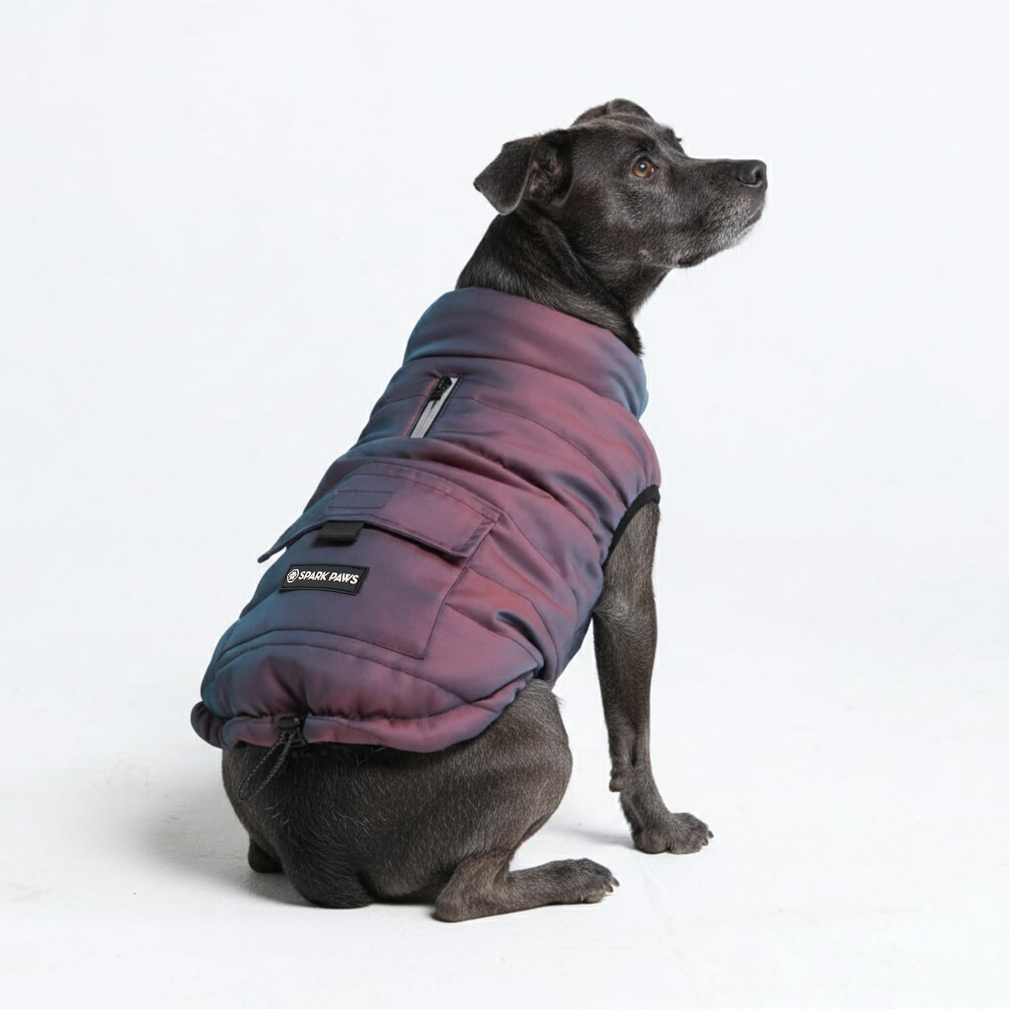 Dog Winter Coat Jacket - Warm Dog Clothes for Small Large Dogs | Freezing Walks and Snow, Fleece Lined, Water Resistant, Leash Opening, Reflective, Puppy to 4XL Broad Chests