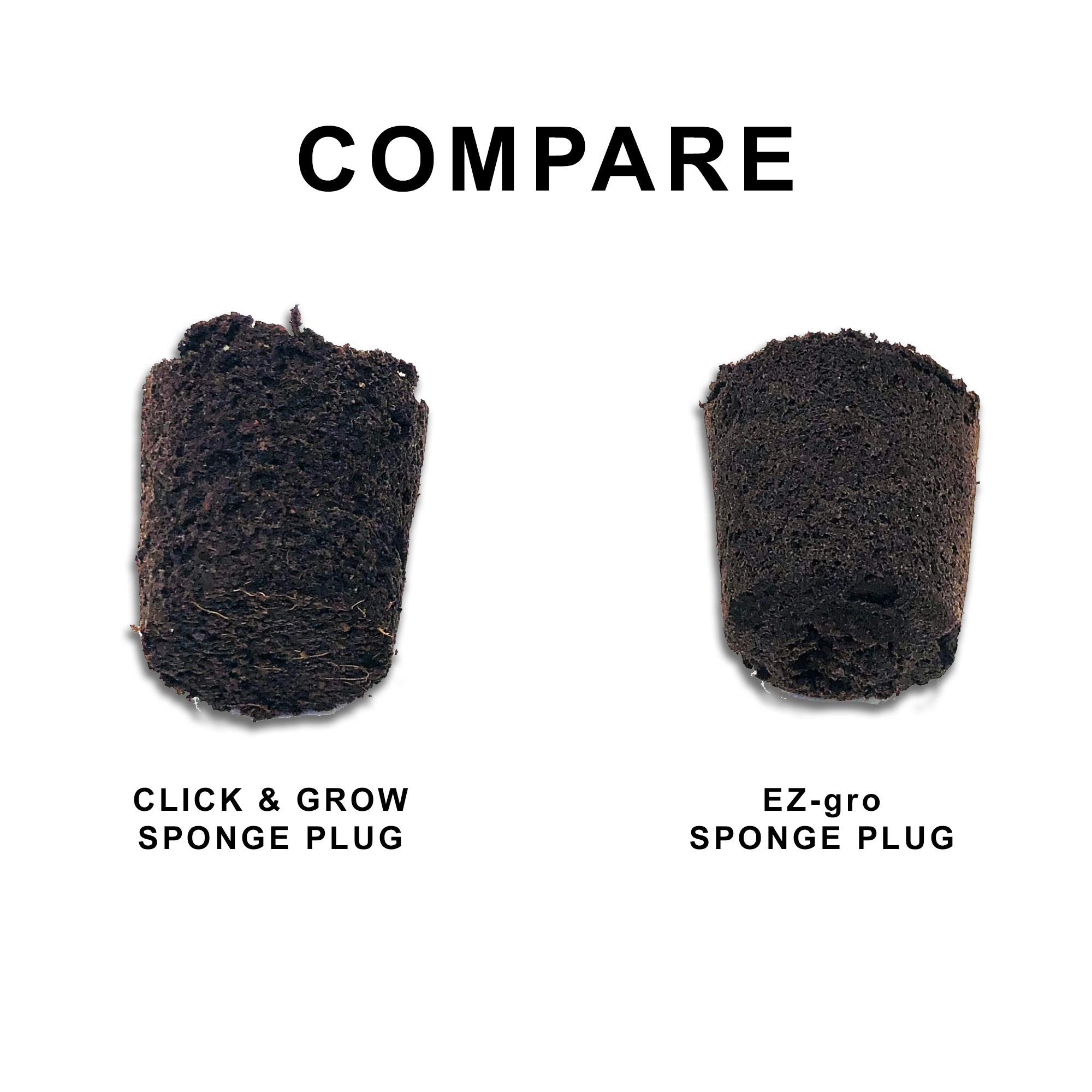 Buy Hydrohort Oregano Seed Pod Kit is Compatible with Click and Grow