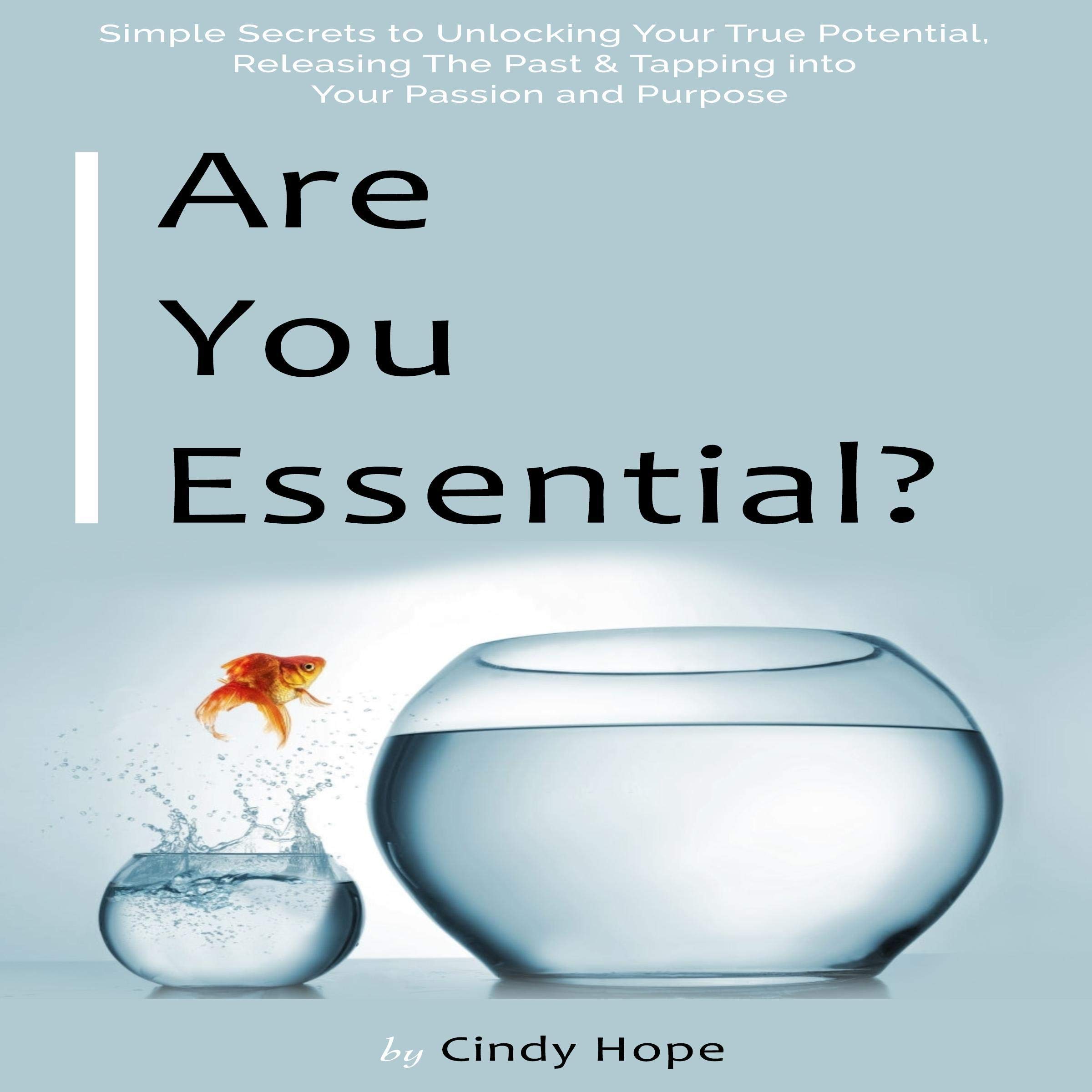 Cover art for Are You Essential?