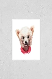 Wall Art Poster Print of Chinese Crested Puppy Dog Breed Puff Animal Originated in China. Canine Pet Without Fur Hairless Animal with Beard on Muzzle. Powderpuff Isolated on White Background Digital