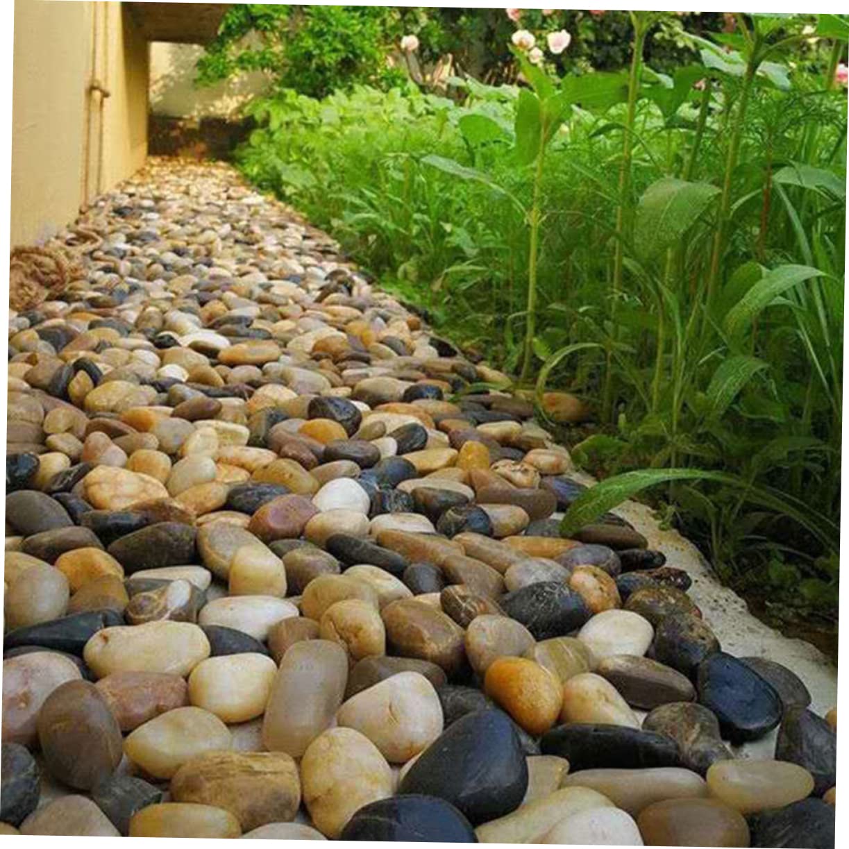 Toyvian Kieselsteine Je für Aquarien Dekoration und Pflanzenvase Natursteine für Arrangements und Wasserfeatures