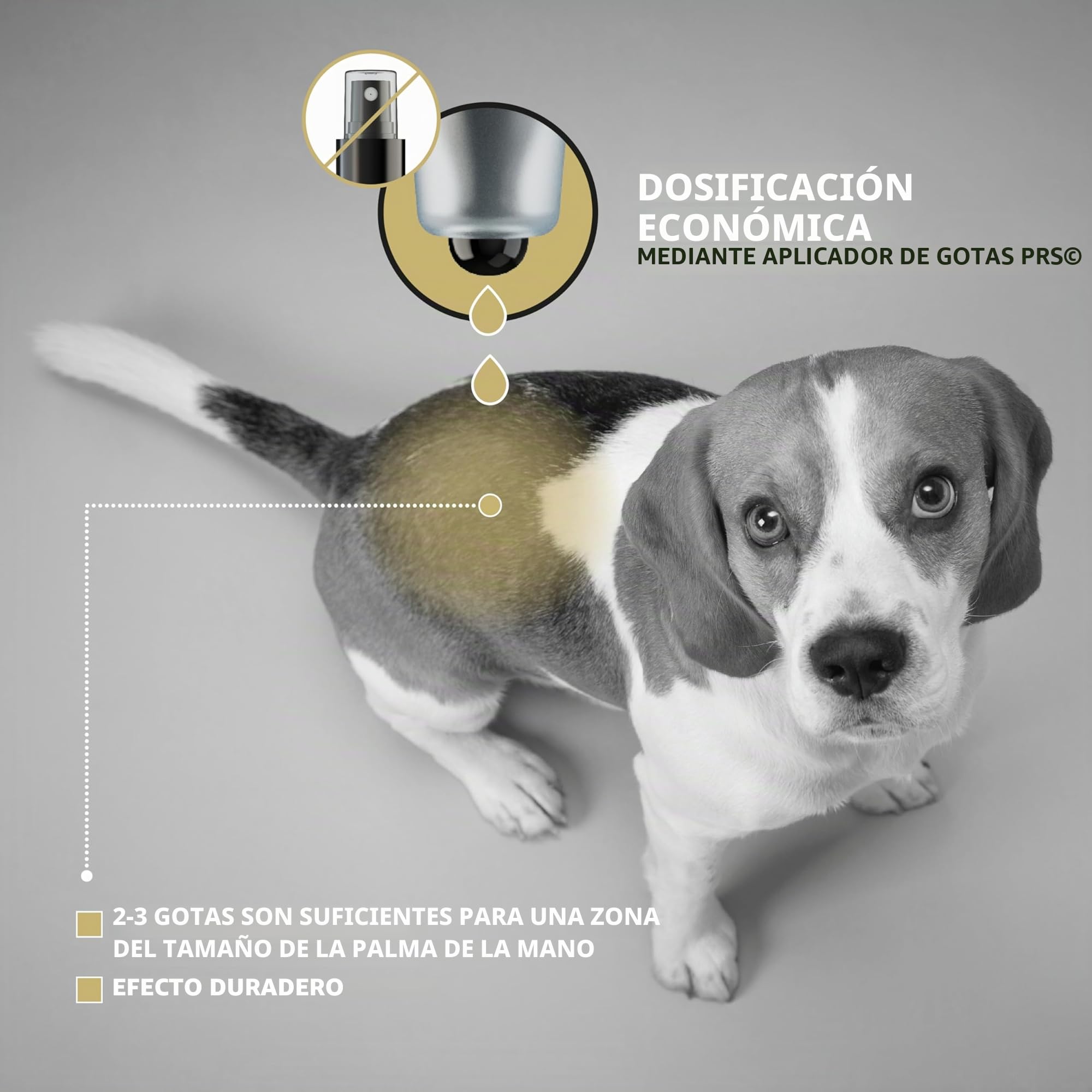 Peticare Loción para Perros Piel Sensible | En Casos de Dermatitis, eccema o neurodermatitis | Calma el picor & favorece la regeneración | Sistema PRS® Efecto prolongado – petDog Health 2100