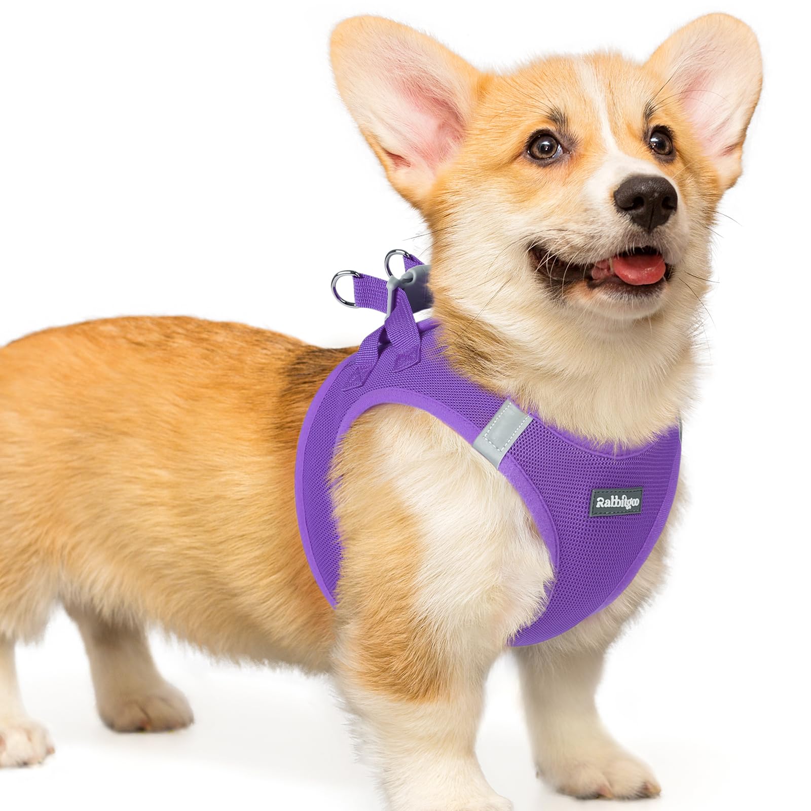 rabbitgoo Hundegeschirr kleine Hunde, Step-in Soft Mesh Hundegeschirr mit Sicherheitsverschluss, atmungsaktives und reflektierendes Welpengeschirr für kleine Hunde