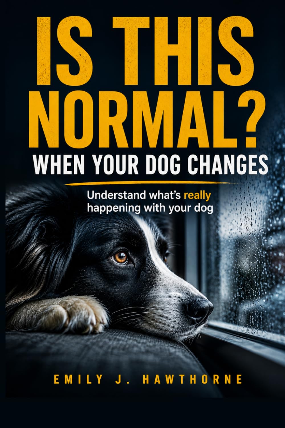 When Your Dog Changes: A Gentle Guide to Behavior Shifts, Anxiety, and the Last Seasons