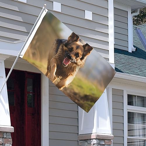 Miniatura 6 de Bandera de perro pastor alemán corriendo de 3 x 5 pies para exteriores, divertida bandera de jardín, bandera de doble cara, pancarta de bienvenida