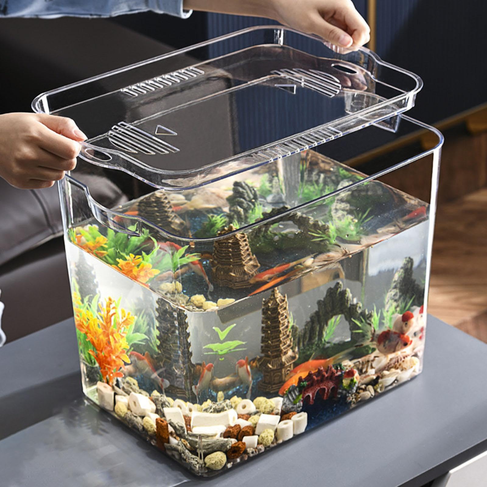 Wunderschön gestaltetes Tisch Aquarium mit Fischschale zur Haltung von Kampffischen. Verschönert die Wohnung und eignet Sich ideal als Starter Aquarium für Schildkröten und zur Zucht.