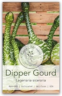 Gaea's Blessing Seeds - Gourd Seeds - Dipper Gourd Seeds - Heirloom Non-GMO Seeds with Easy to Follow Planting Instructions (Dipper Gourd)
