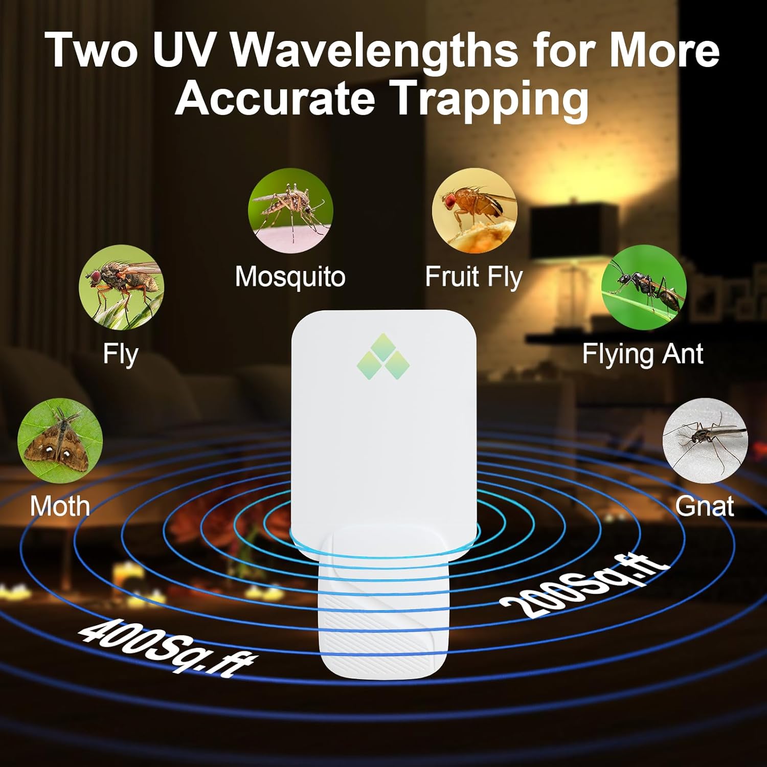 Fly Trap Indoor, Fruit Fly Traps for Indoors, 2 Devices 12 Glue Cards, Two Modes Protect 400 Sq Ft for Home, Flying Insect Trap Plug in for Fruit Flies, Gnats, Flies, Moths, and Other Flying Insects - Image 5