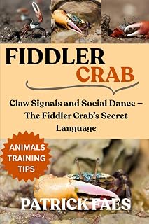 FIDDLER CRAB: Claw Signals and Social Dance — The Fiddler Crab’s Secret Language