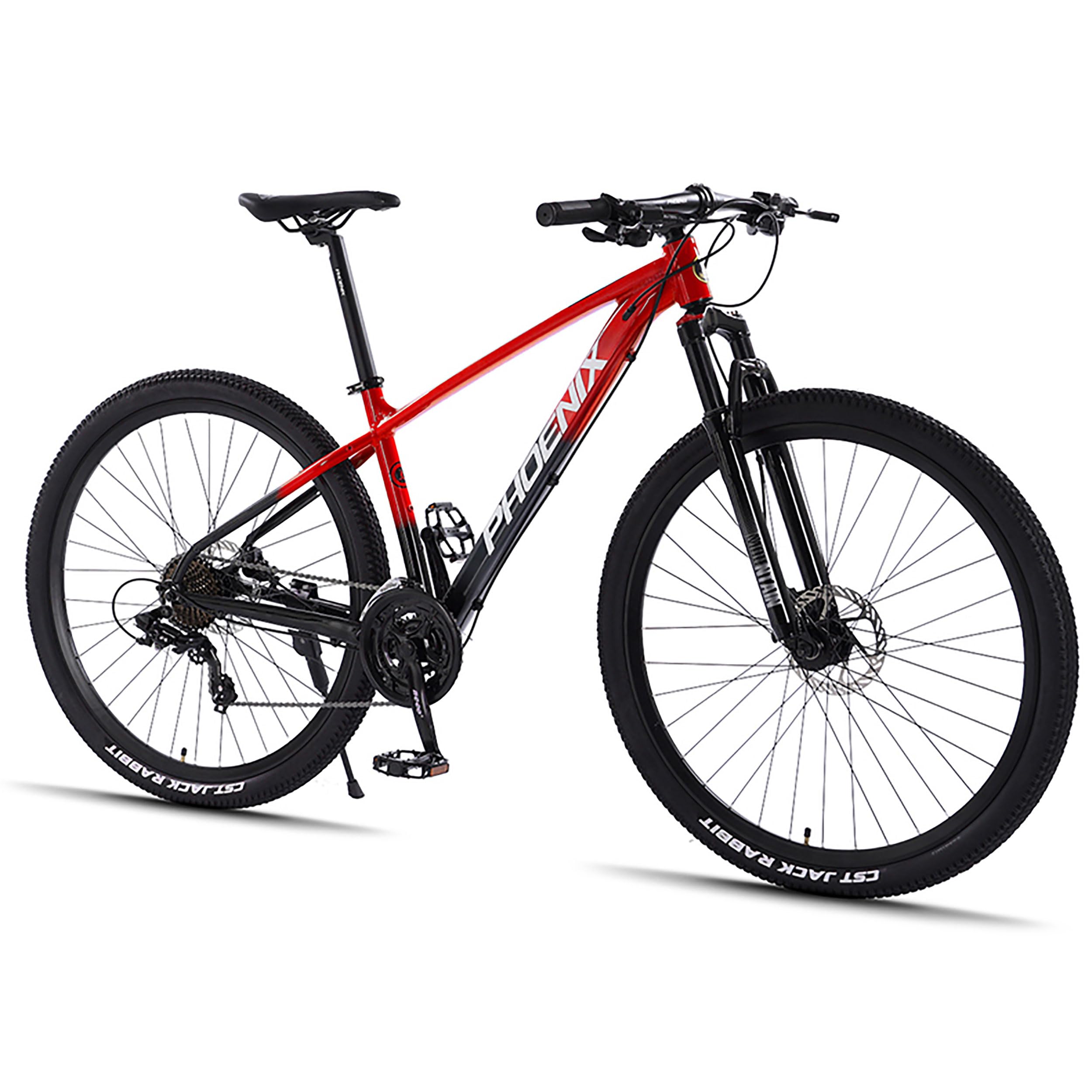 マウンテンバイク Raleigh 26インチ ブラック