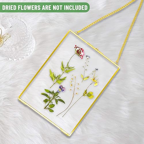 Miniatura 3 de ToaDolce - Marcos para flores prensadas 2 marcos de fotos de vidrio colgantes de 6 x 8 pulgadas marco de vidrio doble marcos para colgar en la pared