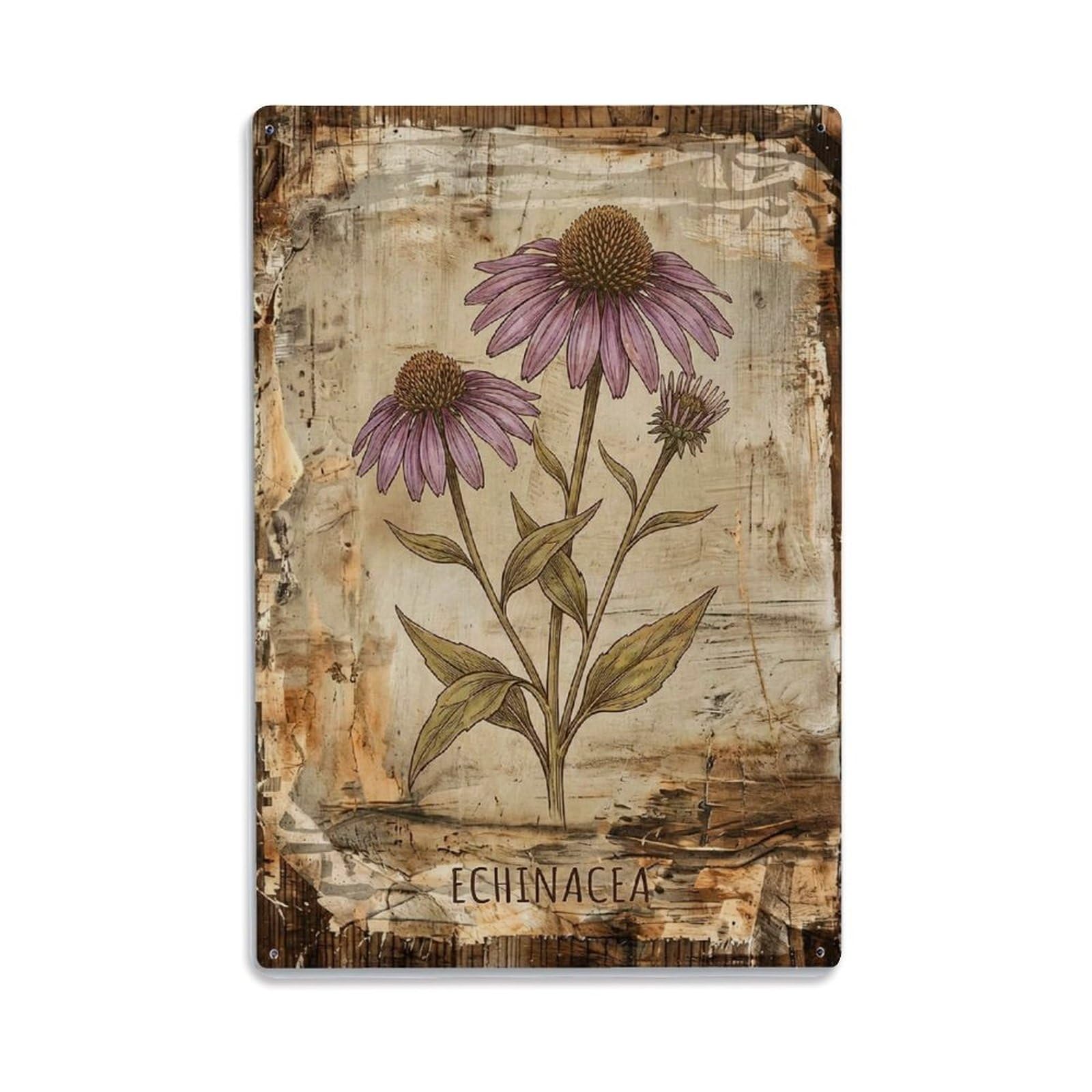 Echinacea Botanical Vintage Metal Tin Sign Plaque Wall Decor for Cafe, Club, Garden Metal Poster 8x12Inch