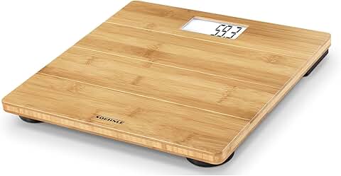 Amazon.com: taylor scale battery