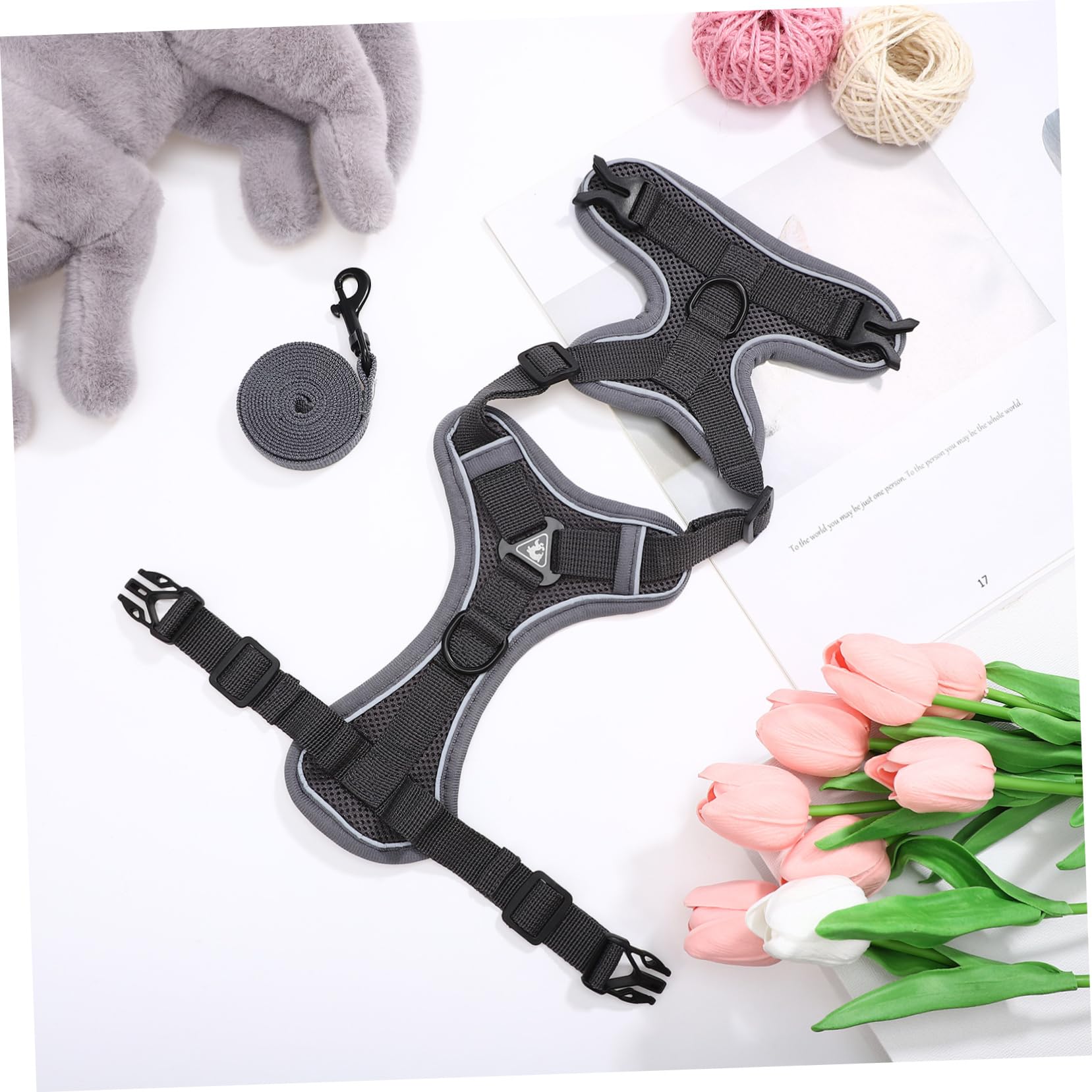 Kisangel 5stücke Puppy Für Kleine Hunde Einstellbares Reflektierendes Und Atmungsaktives Hundegeschirr Mit Komfortablem Design Für Sicheres Und Bequemes Spazierengehen