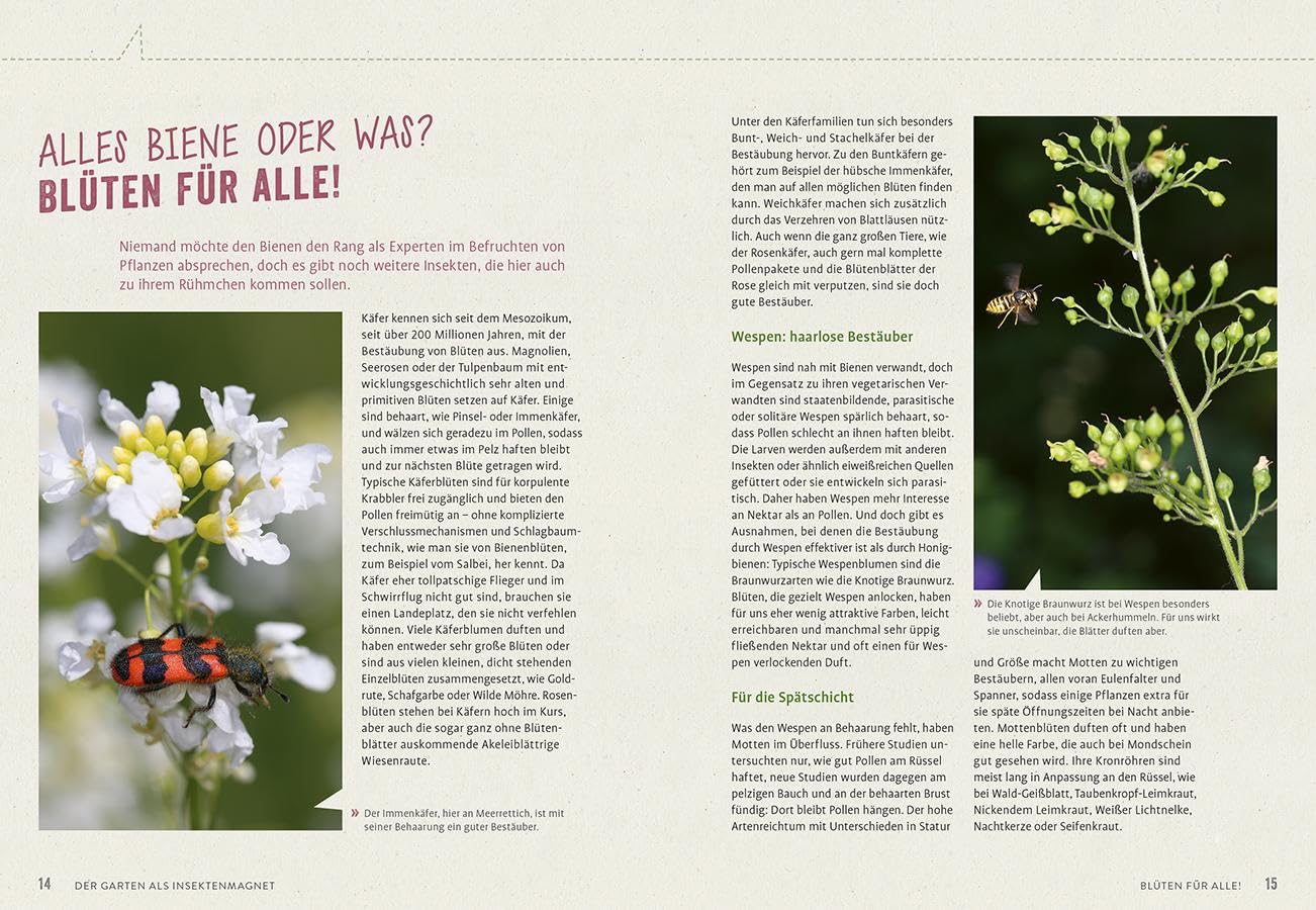 Richtig gute Pflanzen für Insekten: Die besten Blüten für maximal viele Bienen, Schmetterlinge, Schwebfliegen & Käfer im Garten. Mehr Respekt für's Insekt.