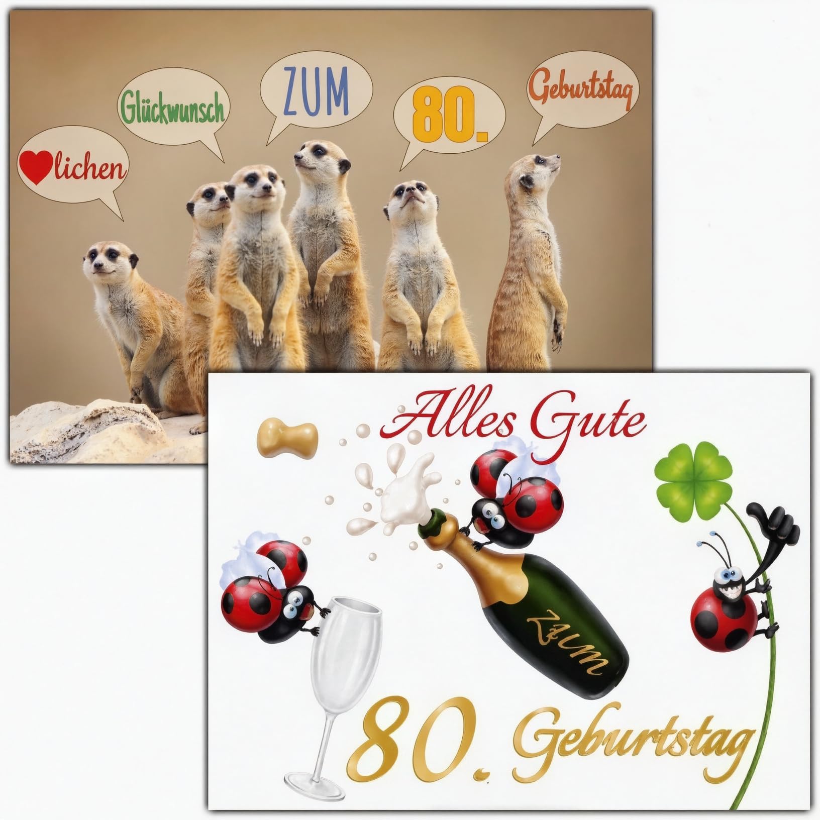 BREITENWERK 9er SPAR-SET: A4 XXL 80 Geburtstag Karten mit MARIENKÄFER & ERDMÄNNCHEN Motiv + Umschläge mit Papprücken - lustige Geburtstagskarte Glückwunschkarte zum 80. Geburtstag für Frau & Mann
