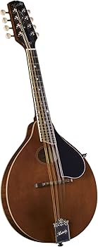 Amazon.com: Kentucky, 8-String Mandolin, Transparent Brown (KM-276