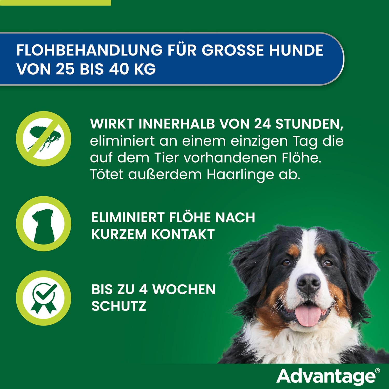 Advantage Spot On für Hunde 400 mg (25-40 kg), gegen Flöhe, 4 Pipetten | Schnelle Hilfe bei Flöhen: Wirkt bei Kontakt ohne Stich. Schützt deinen Hund & dein Zuhause. Einfache Anwendung im Nacken.
