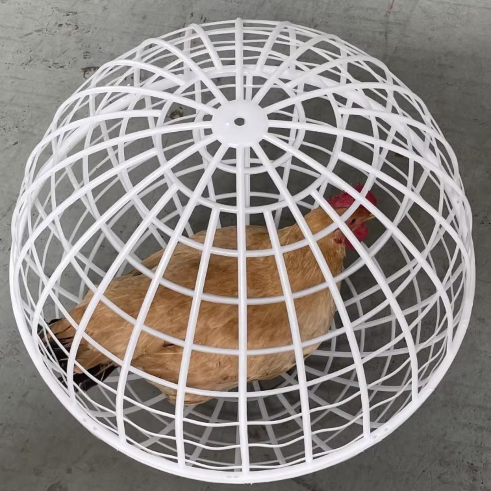 Cage à Poulet Ronde Portable - Clôture de sécurité pour Poules, Lapins, Pigeons de Canard - Fattoria Cortile Boule de Poulet - 40 x 40 cm - Jardin Outr - Zone pour Animaux domestiquesdoo