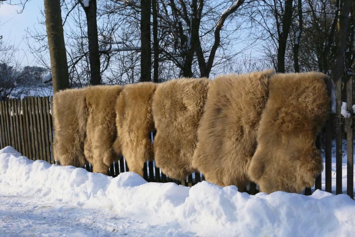 Echtes Lammfell Natur – Vanille/Merino, Ca. 90-100 Cm, Kuschelig Weich, ökologisch Gegerbt, Aus Bayern