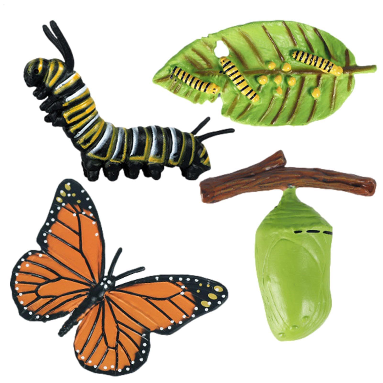 Insectss Life Cycle Figurines - Educational Biological Growth Stages, Realistic Hand-Painted Learning Models, Durable Odourlesss PP Plasticss Build, 4 to 5 Piece Development Sets - for Kids 3 Years