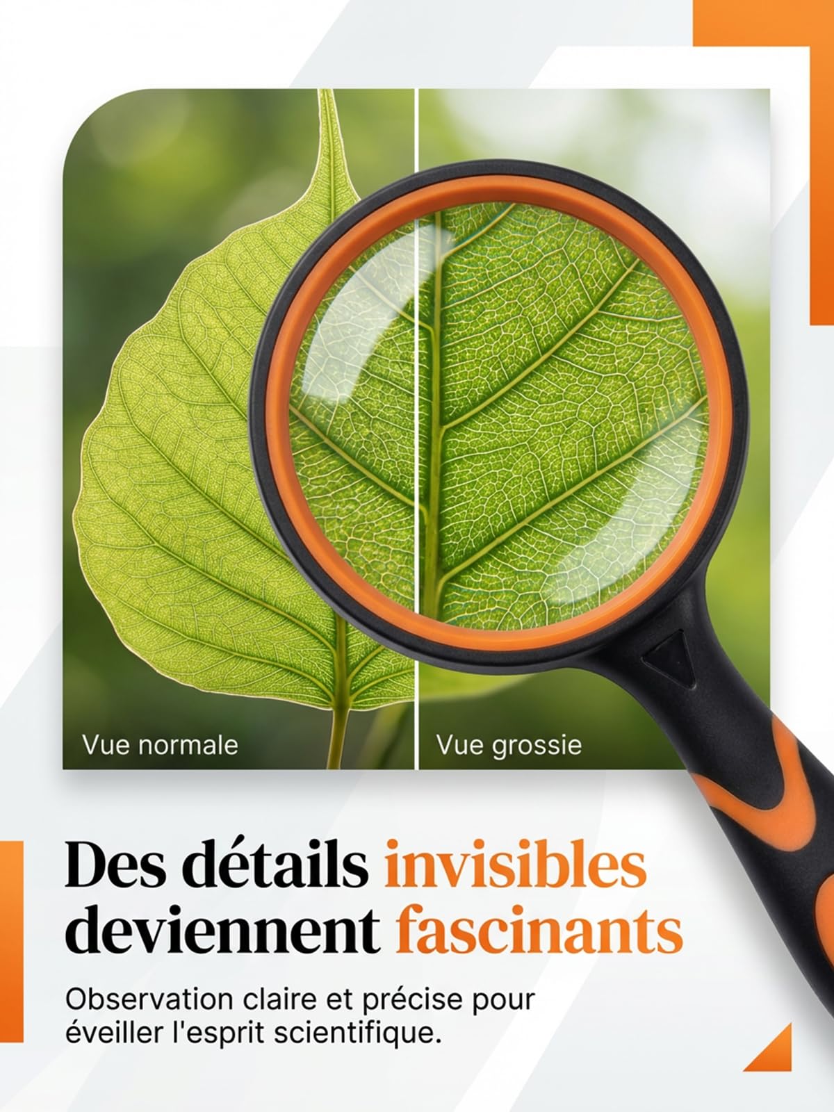 Soleado Loupe Enfant Haute Définition 65mm Lentille Verre Anti-Rayures Manche Caoutchouc Antidérapant