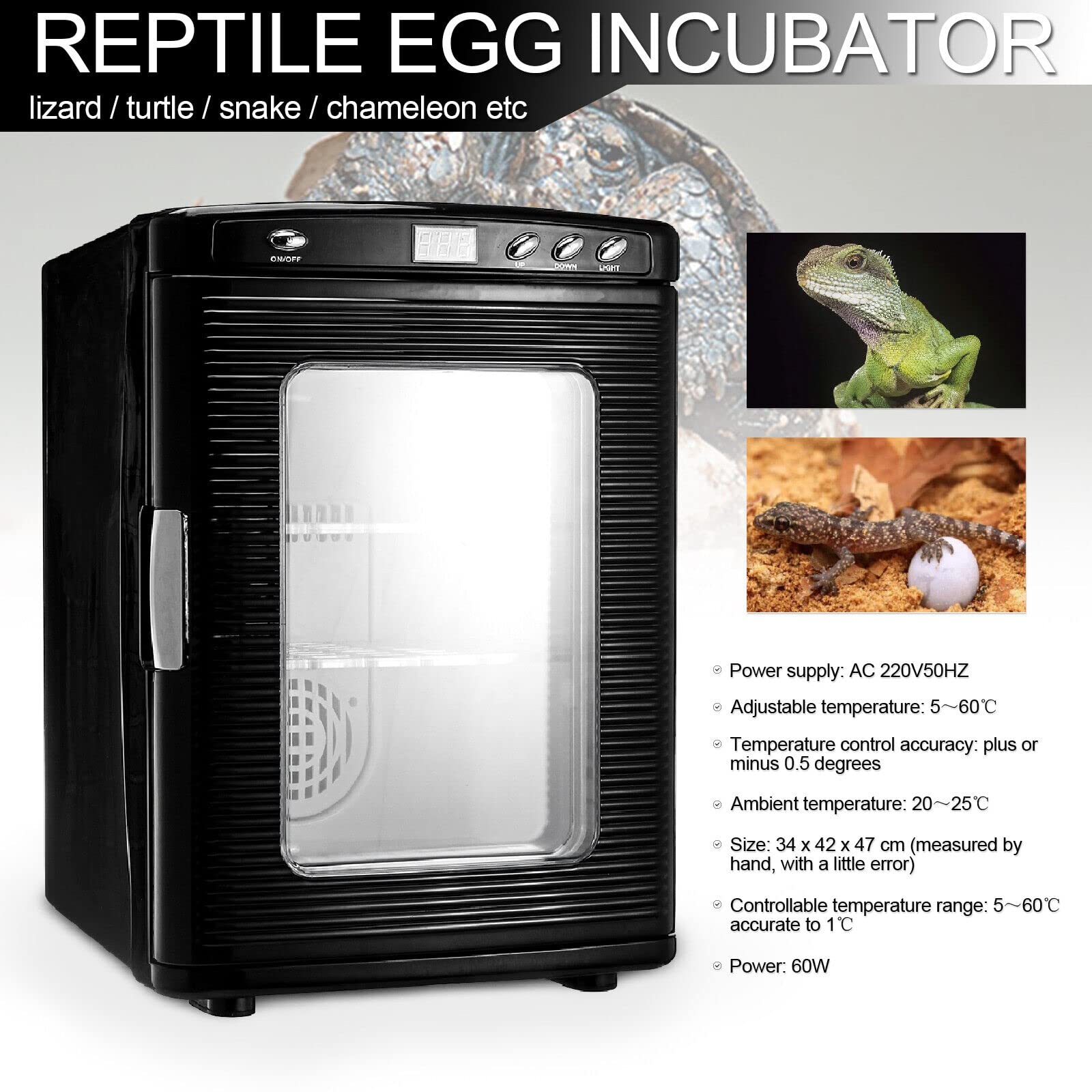 Reptile Incubator 25L, Scientific Lab Incubator Kühlen und Heizen, 5-60 °C 12V /220V Arbeit für kleine Reptilien (Schwarz)