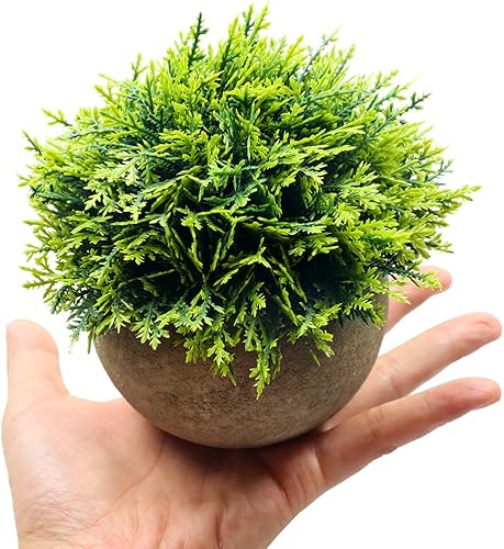 Miniatura 2 de Svenee Mini plantas de cedro de ciprés falso para decoración de baño, hogar, oficina, escritorio, pequeña vegetación artificial para decoraciones de