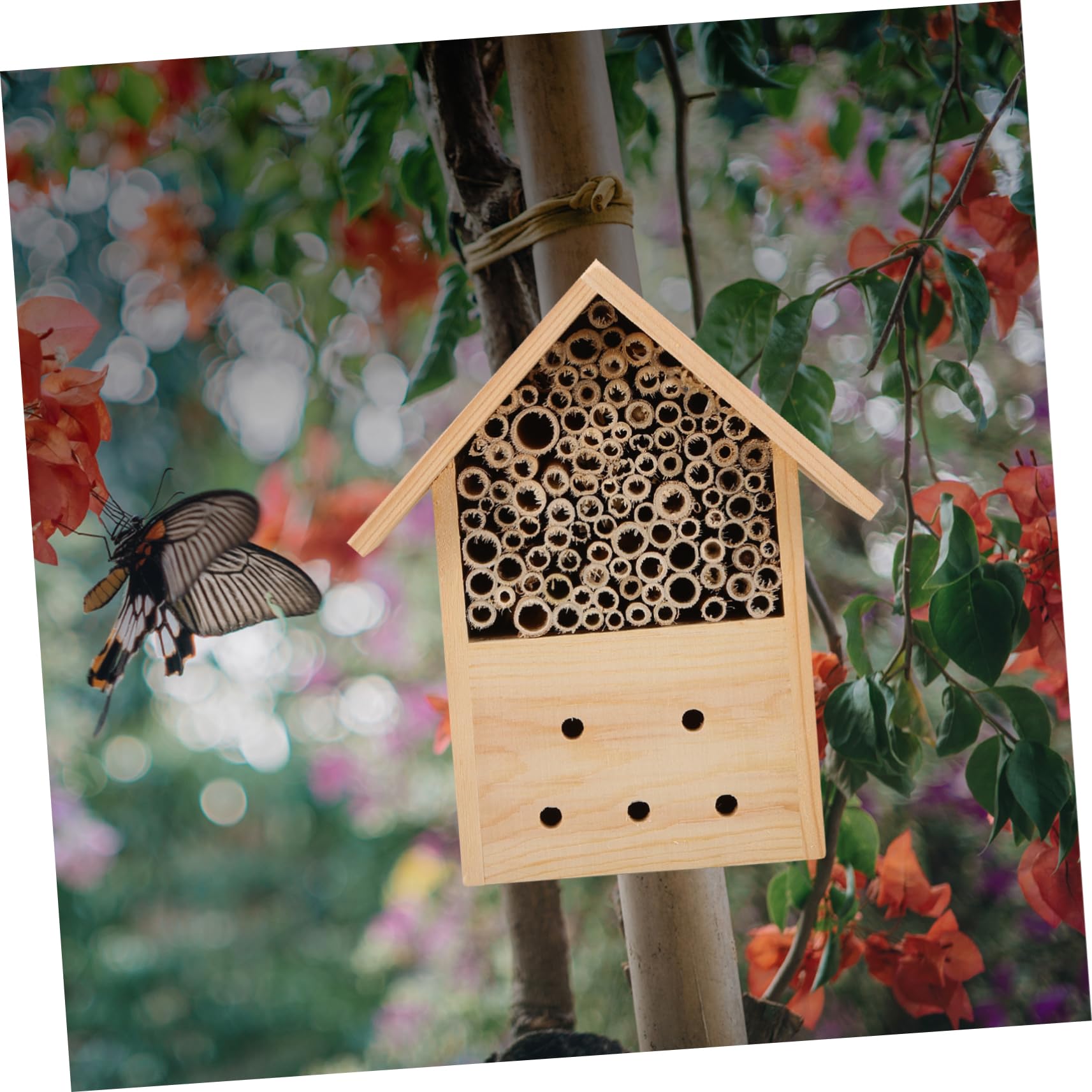 Hängendes Holzbienenhaus für Garten, Holz Außenbereich | Beobachtung von Bienenbestäubern, für Kinder Lehrreich, Individuell Bemalbar, Dekoratives Nest