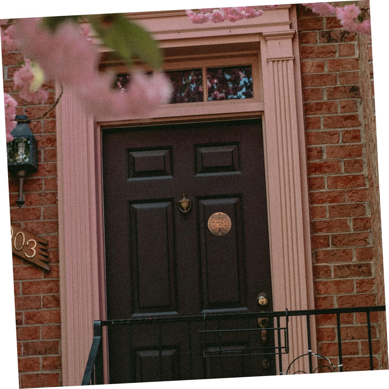 ORFOFE Security Door Viewer Doorbell Theft for Design for Outside Viewing Essential Safety Device for Entry Door