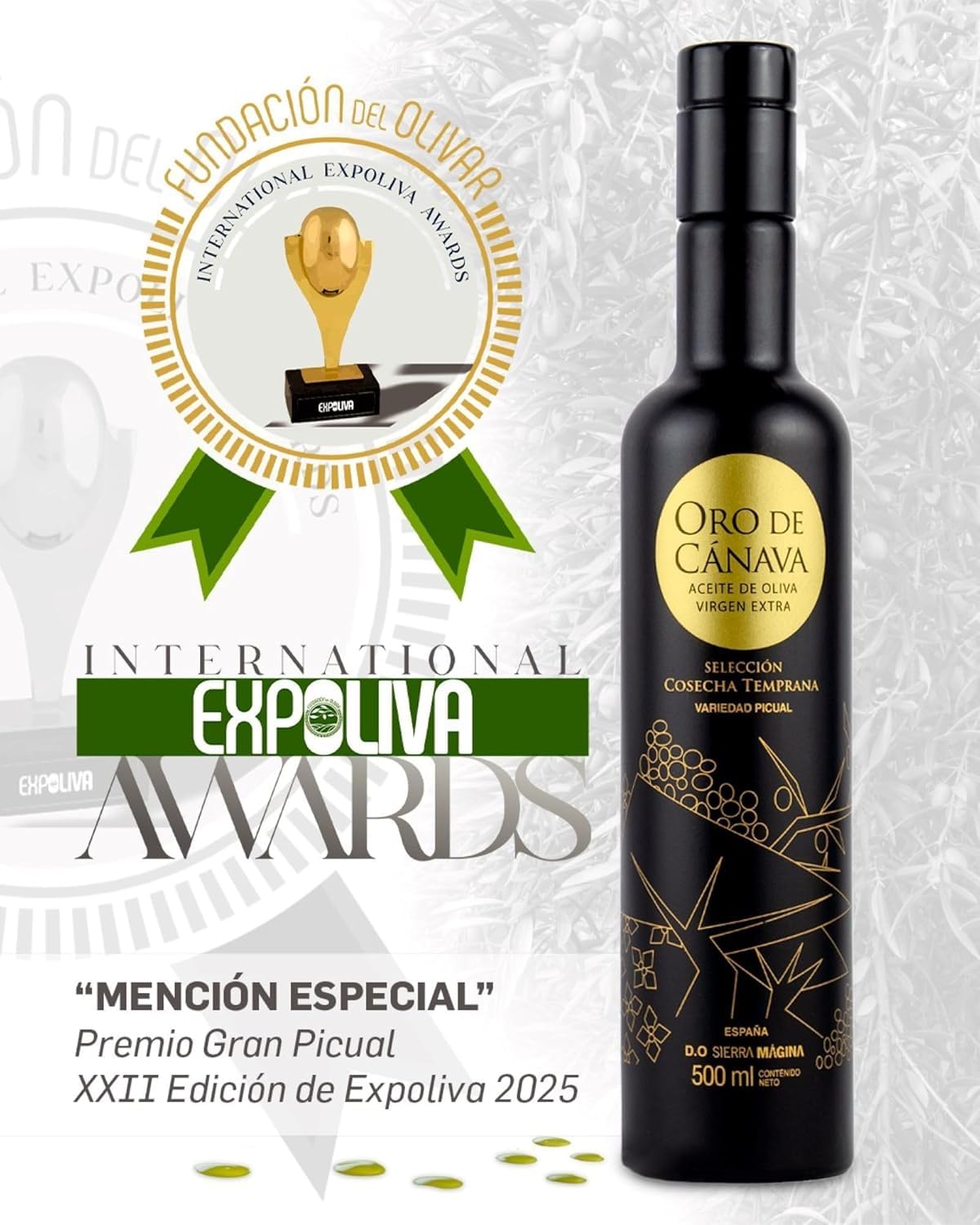 ORO DE CANAVA | Aceite de Oliva Virgen Extra Premium de Jaén, Denominación de Origen Sierra Mágina, Variedad Picual, Cosecha Temprana, Botella Cristal 500 ml con Estuche, Ideal para Regalo