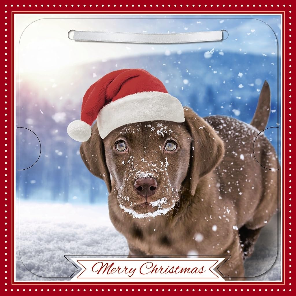 Carte Blanche Photographic 3D Lenticular Merry Christmas Single Greeting Card with Detachable Keepsake to Treasure