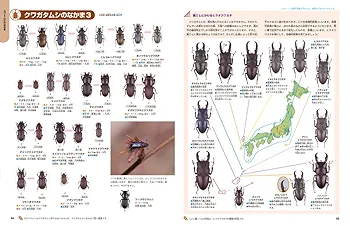 増補改訂版・昆虫 (ニューワイド学研の図鑑1) | - |本 | 通販