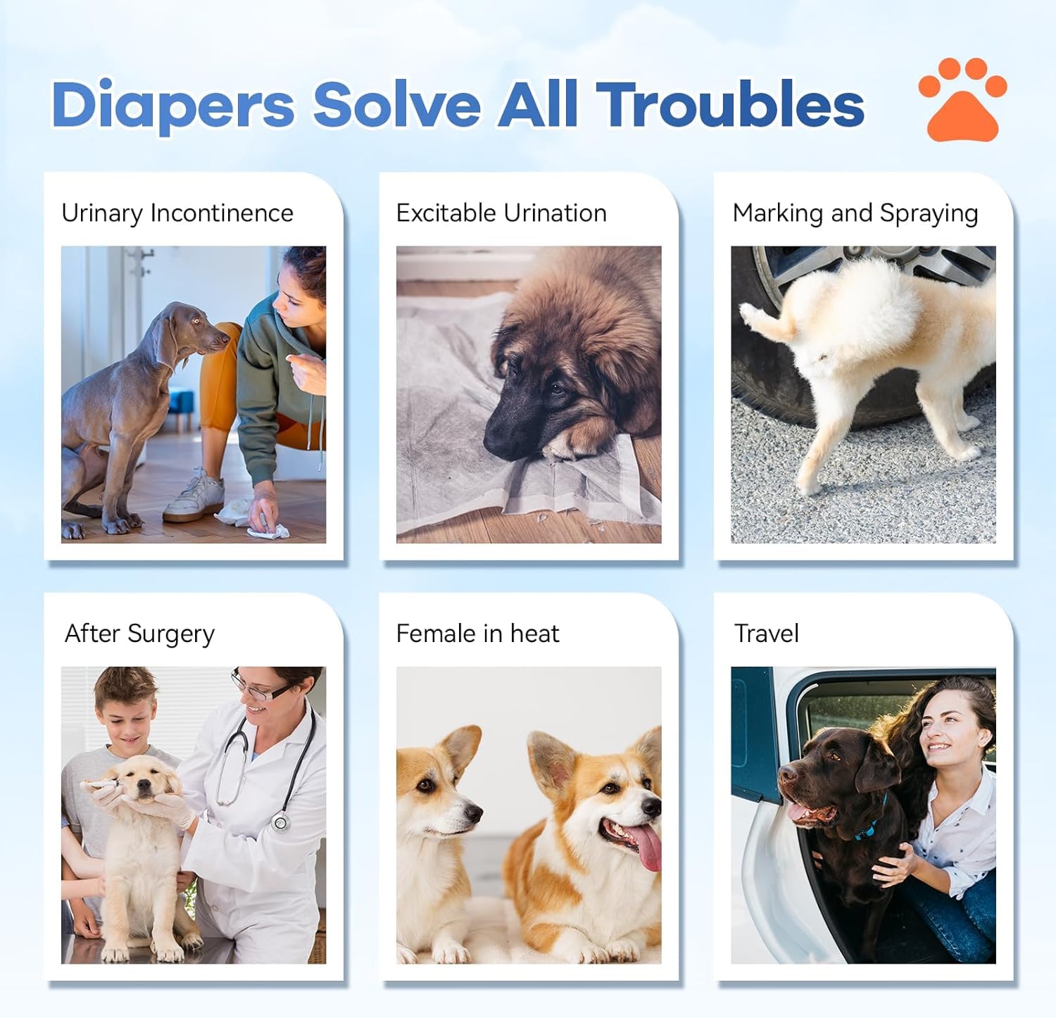 Pañales para perros