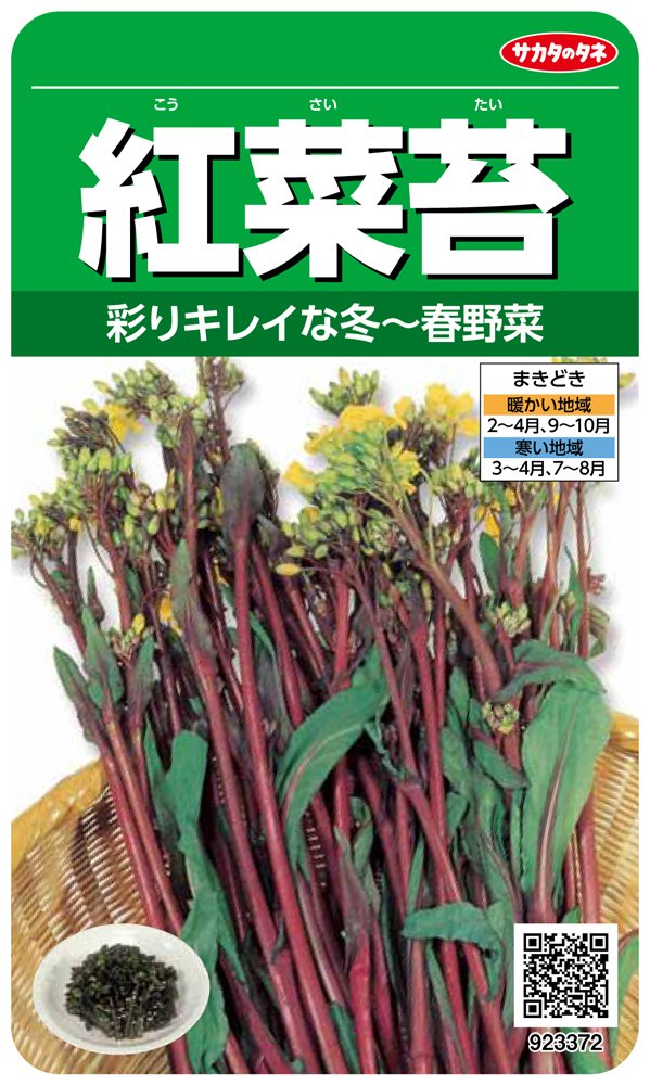 Amazon.co.jp: Sakata Seeds Jitsusaki Vegetables 3372 Kōsaitai