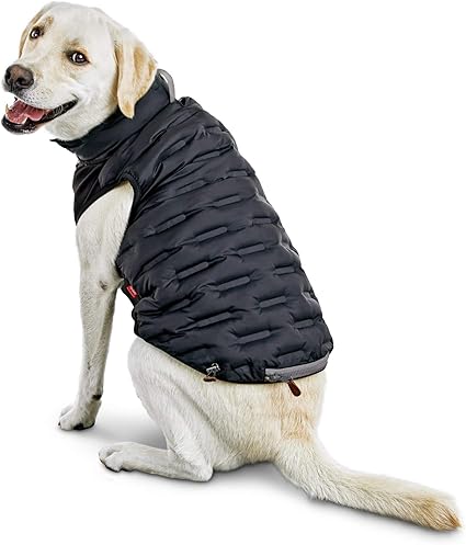 reddy dog apparel
