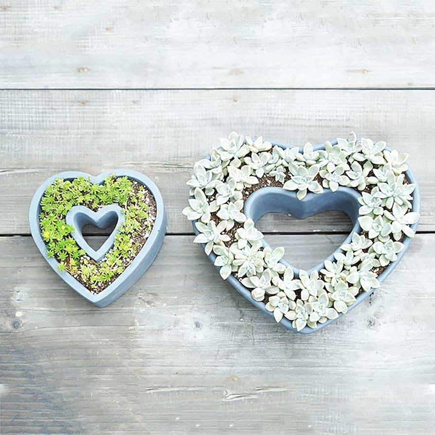 多肉 ハート型プランター Amazon.co.jp: 排水穴のあるハート型の多肉植物プランター、屋外