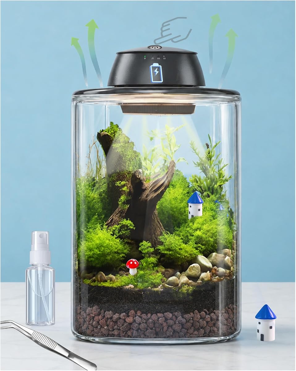 Plant Terrarium Kit with Rechargeable Grow Light
