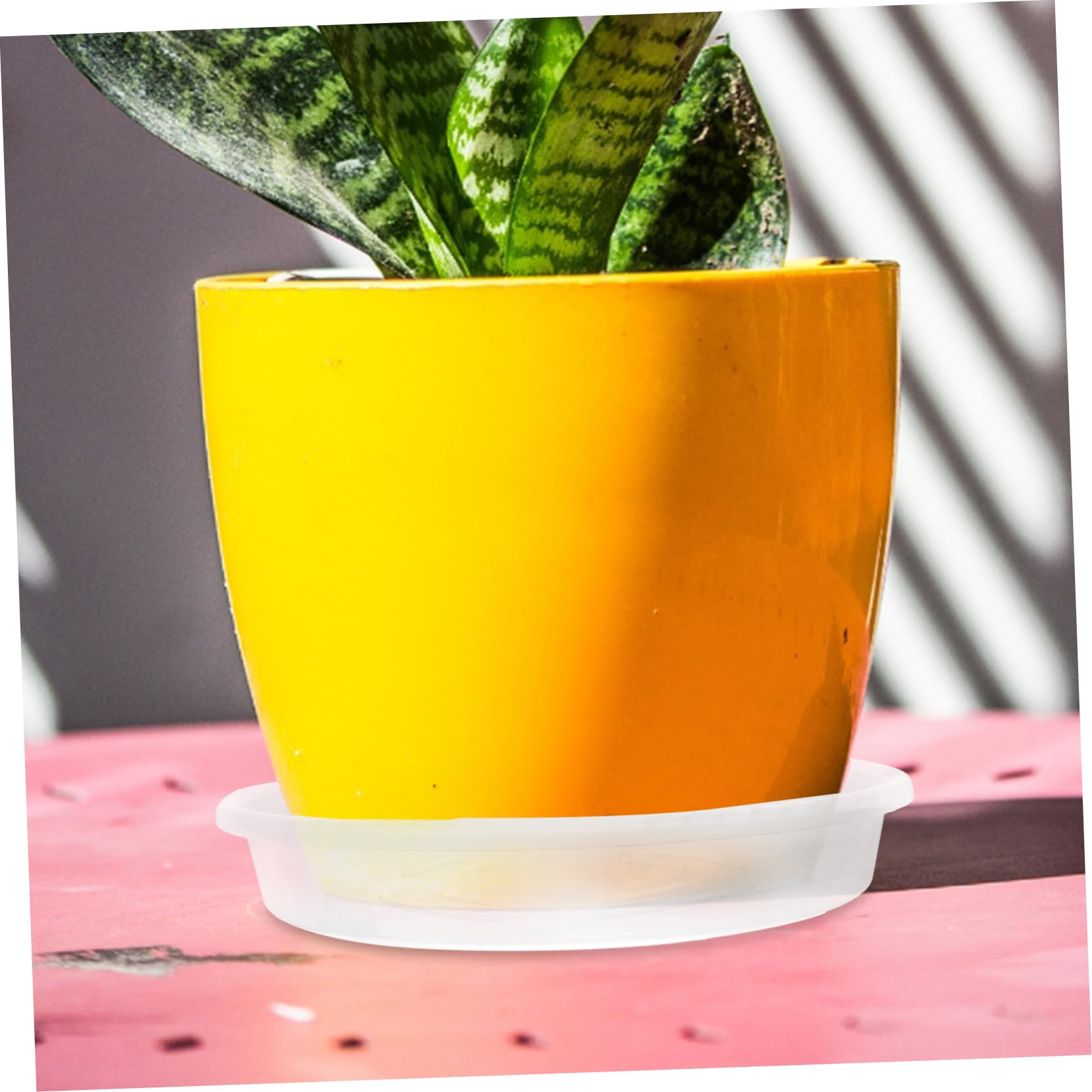 Happyyami 20stücke Pflanzenuntersetzer Wasserschale Für Pflanzen Blumentopfschalen Runder Pflanzenuntersetzer Tropfschale Für Blumentöpfe Pflanze