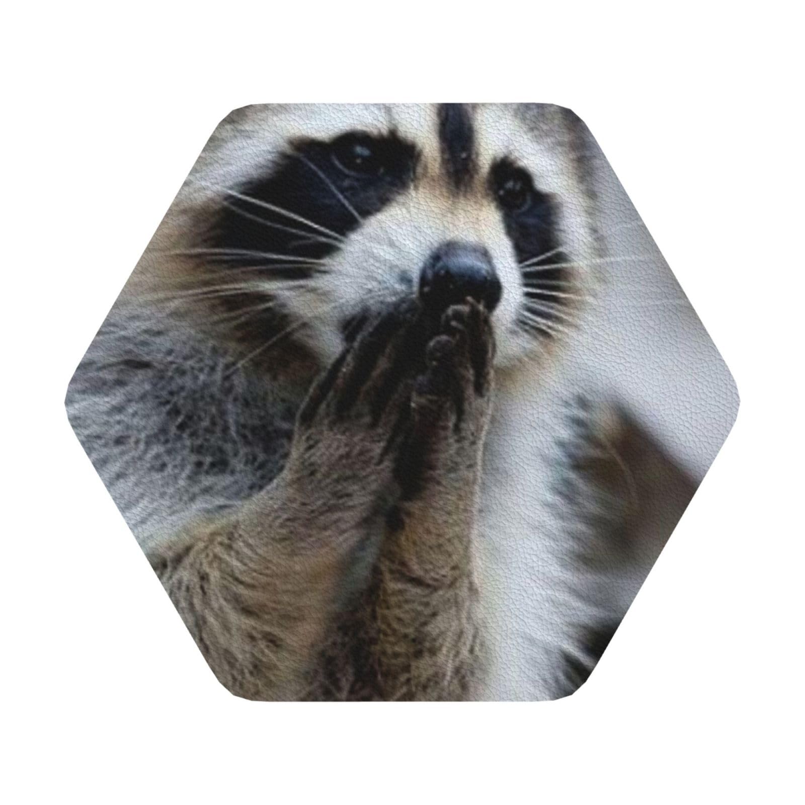Cute Raccoon PU Leather Coasters Set of 6 Hexagon Drink Coasters