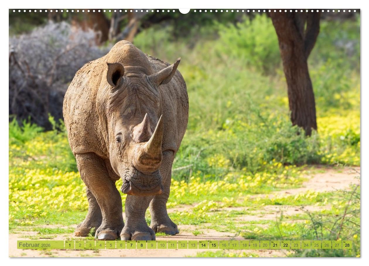 Das südliche Afrika 2026 (hochwertiger Premium Wandkalender 2026 DIN A2 quer), Kunstdruck in Hochglanz: Ein Kalender, der die Magie des südlichen Afrika einfängt (CALVENDO Orte)