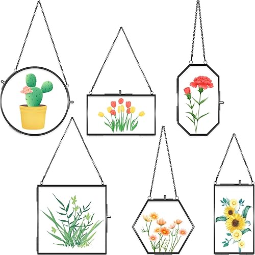 Miniatura 7 de 6 marcos de vidrio de latón para flores prensadas, marcos de fotos colgantes con cadena, marco de vidrio doble transparente, marco flotante dorado,